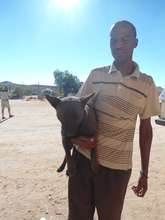 Wolfie and his owner at March spayathon in Aus