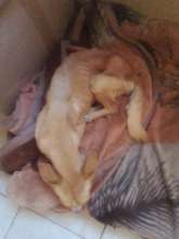 Bella getting care thanks to the AKI-HAH Fund