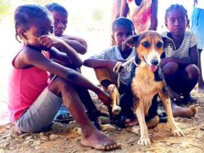 Booster & anti-parasite treatment courtesy of AKI