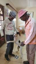Boy, treated for an injury on his neck & neutered