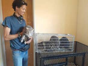 Candice had mastitis