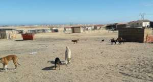 DRC, Swakopmund: the township where Nica lives
