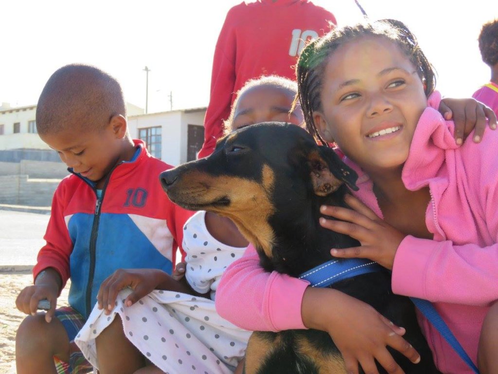 Dog spayed-2015, gets annual HAH parasite control