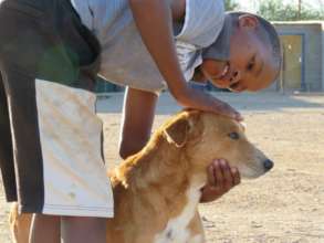 A much-loved dog at an HAH clinic