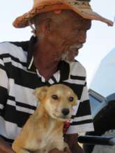 Another HAH-Mobile client