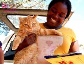 Another lucky kitty spayed at an HAH clinic