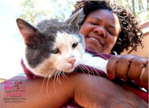 Another kitty spayed with AKI $