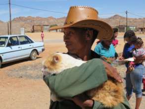 Kitty spayed with AKI $