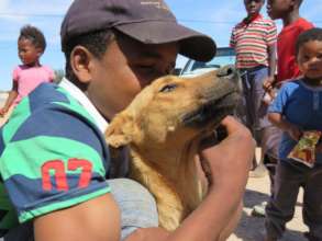 1 of many well cared for dogs at an HAH clinic