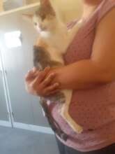 Granny was kicked when she was pregnant!