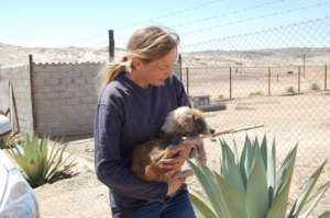 Geesche finds Stretch, who is very trusting