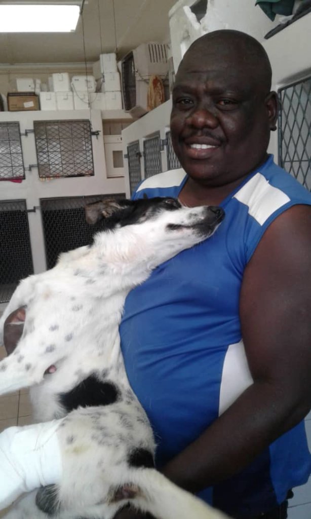 Fire's owner takes him home