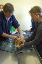 Dr. Baines gives Stretch his 1st check up