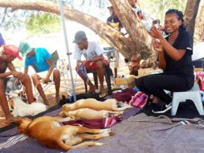 HAH-Namibia March mobile clinic