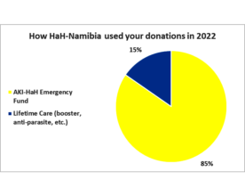 How HaH-Namibia used your 2022 donations