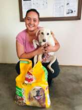 Archi came for spay, treated for tick bite fever