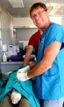 Dr. Baines removes Pinky's hernia