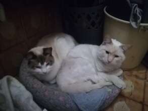 Jannie and Sannie, together again