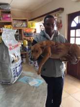 Spotti-antibiotics, anti-parasite, booster, neuter