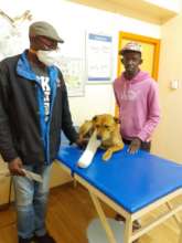 Dog Sure-broken leg treated