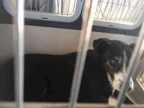 Lady wasn't well & desperately needed help