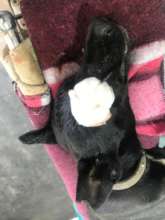 Black Boy's eye was infected & had to be removed