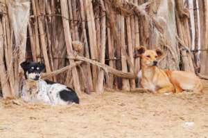 2 Life Time Care recipients at the March clinic