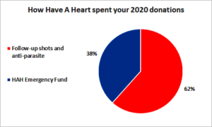 How Have A Heart spent AKI funds in 2020