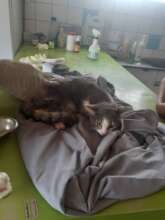 Neusie, an Emergency Fund client, recovering