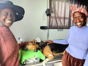 Ten Tiff's growth was removed, he wwas neutered