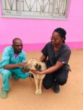 Bobby's eye was removed & he was neutered too!