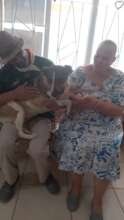 Lady: attacked by a dog & saved by Dr Erna and AKI