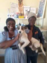 Rocky from Rehoboth-a prolapse and TVT!