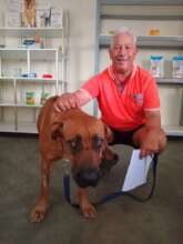 Roxy treated for TVT, poses with her dad
