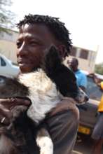 A dog & his owner in Keetmans-20 Sept 2017