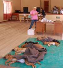 Spay Day in Aus-September