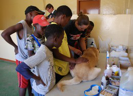 HAH May Spayathon with many observers!