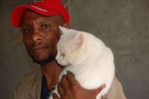 Kitty spayed during an AKI-HAH clinic in Bethanie