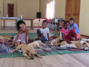 Children & their dogs during recovery