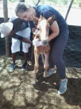 This young horse was saved thanks to AKI donors!