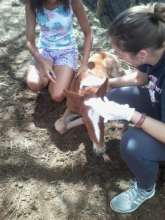 Our HAH Project helped save this foal!