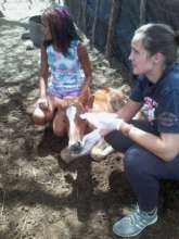 A horse named Fighter