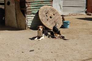 For the next Luderitz clinic!