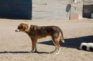 Another one for a future Luderitz clinic