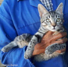 A happy HAH-Namibia client