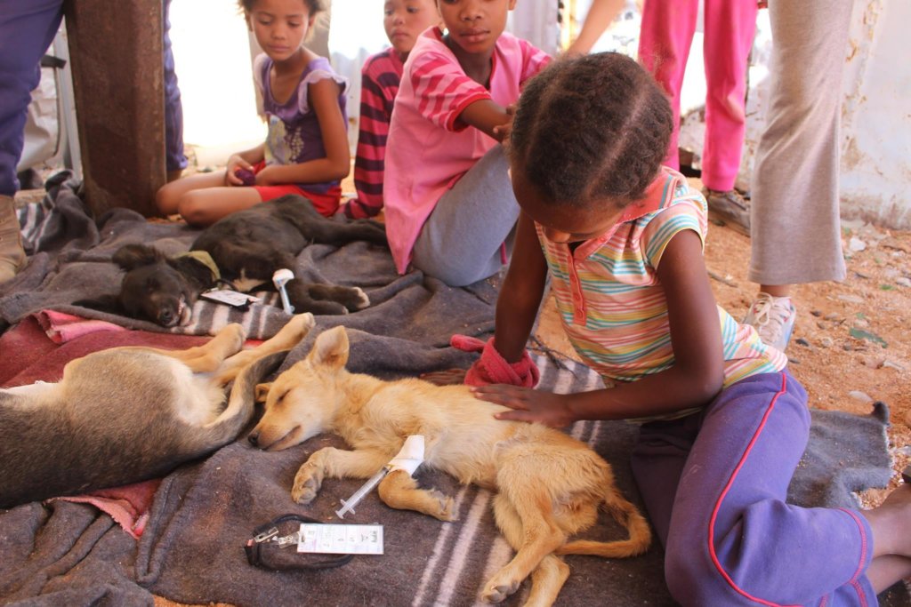 Support for Have A Heart-Namibia