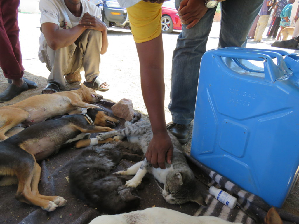 Support for Have A Heart-Namibia