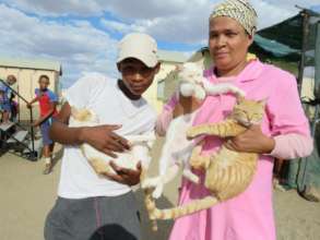 Kitty spayed at an HAH-Mobile clinic in April