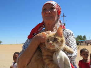 Kitty spayed at an HAH-Mobile clinic in April