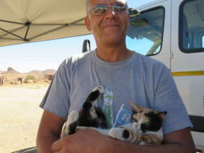 Another kitty spayed at the HAH-Mobile Clinic